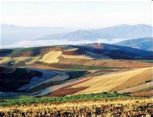 Territorio