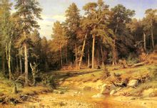 Pineta