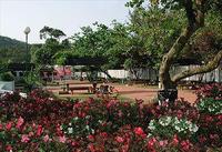 Hac Sa Parco