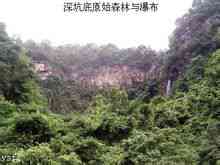 Bayberry Città: Guangdong Yangshan County sotto la giurisdizione della città