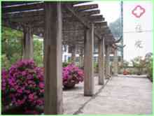 Ospedale Fushun Popolo della contea