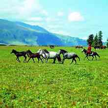 Bayan Tsagaan