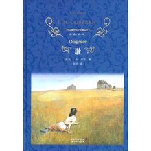 Shame: Coetzee scrivere romanzi