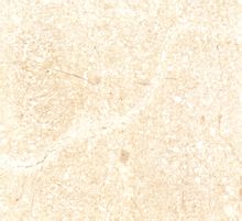 Neve Beige