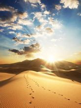 Clima del deserto