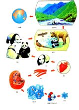 Scienze Biologiche