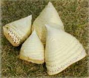 Germoglio di bambù