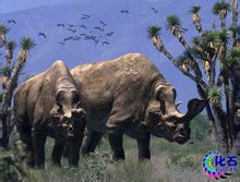 Brontotherium