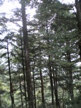 Huangsang National Nature Reserve