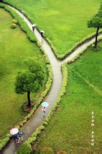 Anhui Università di Economia e Finanza
