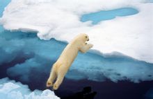 Cambiamenti climatici