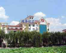 Hebei Silicon Valley Chemical Co., Ltd.