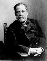 Pasteur