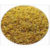 Osmanthus tè