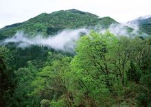 Xian Xia Mountain