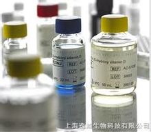 Progesterone