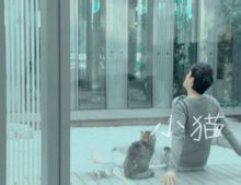 Kitten: Cai Guoqing canto