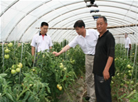 Tang Xiang concetto