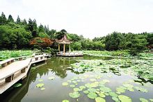 China University of Technology