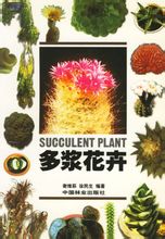 Fiori succulente