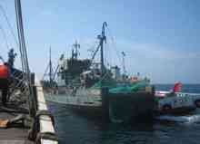 Marine Fisheries