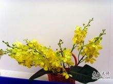 茝 Lan