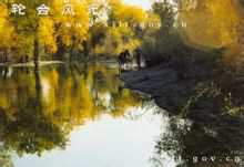 Caohu