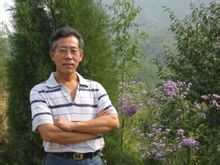 Lin Chi luce