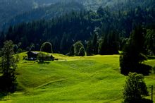Alpi