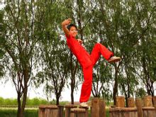 Drunken master