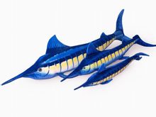 Blue Marlin