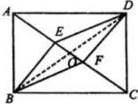 Diagonale