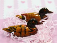 Jin duck