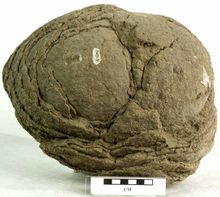 Sferoidale atmosferici