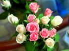 Giorno di San Valentino Rose
