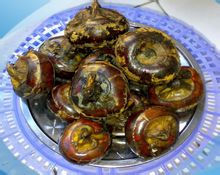 Castagne d'acqua