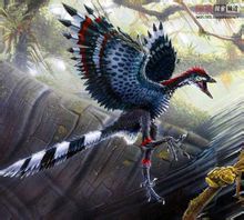 Archaeopteryx