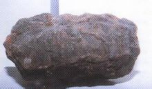 Viola sabbia NAO