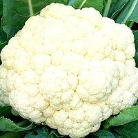 Setsurei broccoli
