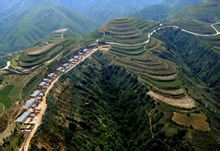 Grano di Progetto Green