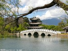 Black Dragon Pool Parco