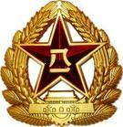 Cap distintivo