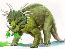 Styracosaurus