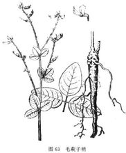 Chiodi arrugginiti
