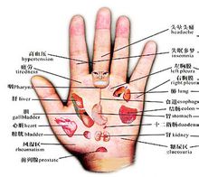 Palm: cresta sul palmo della vostra mano