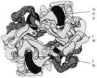 Struttura quaternaria