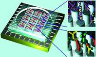 Biochip