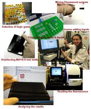 Computer biologico